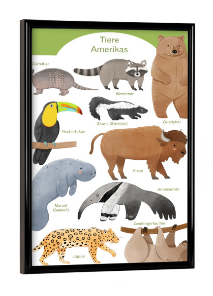 Poster mit schwarzem Rahmen "Tiere Amerikas" artboxONE - Natur,Für Kinder,Tiere