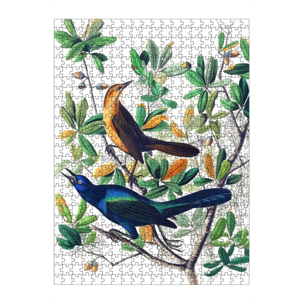 Puzzle Ravensburger "Grackel mit Bootsschwanz" artboxONE - Natur,Für Kinder,Tiere,Für Mama,Für Papa