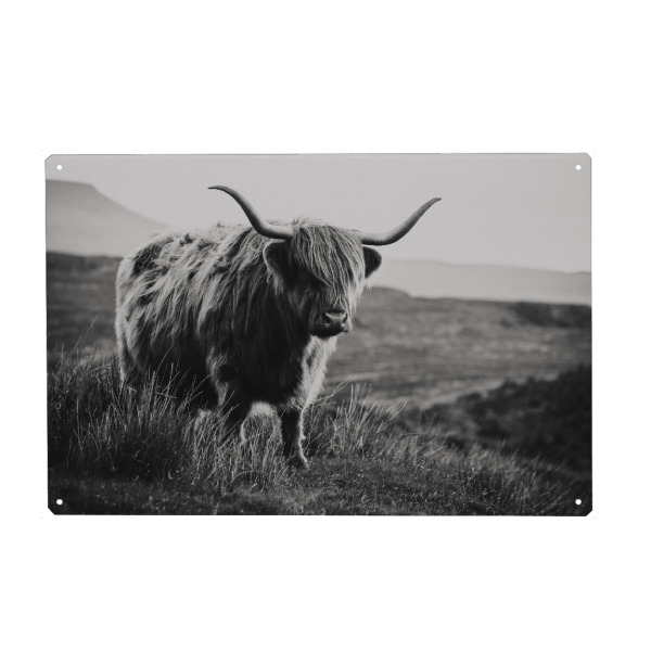 Holzbild "Hochlandrind sw" artboxONE - Natur,Reise,Tiere,Schwarzweiß