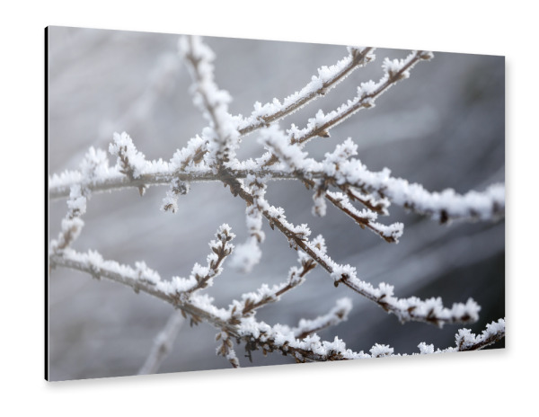 Alu-Dibond "Weiße Winter Raureif Zweige" 30x20 cm artboxONE