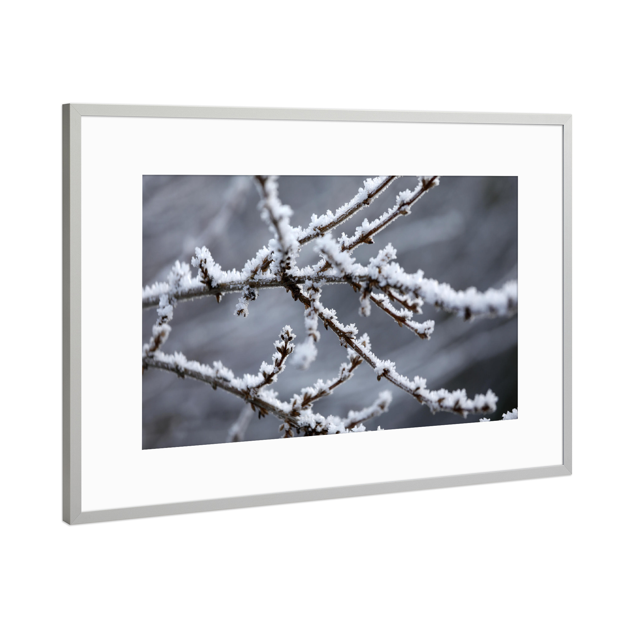 Poster mit Rahmen Silber "Weiße Winter Raureif Zweige" artboxONE - Natur,Floral,Schwarzweiß