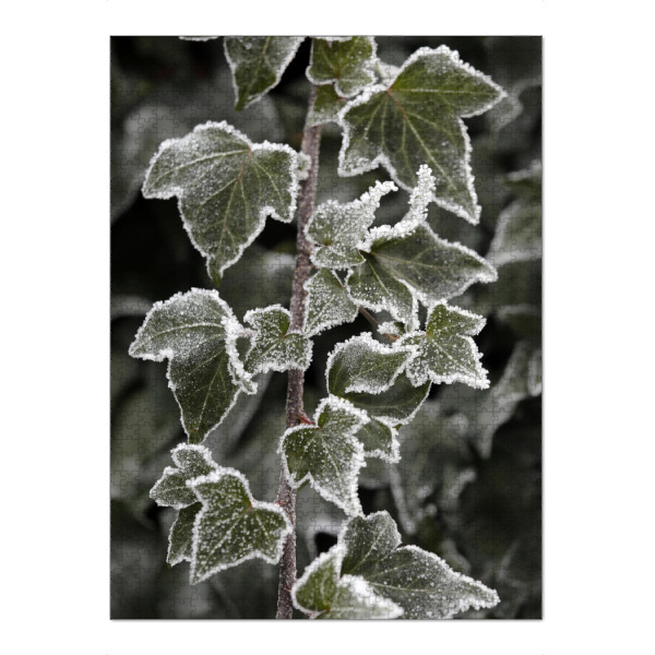 Puzzle Ravensburger "Efeu mit Eisblumen im Winter" artboxONE - Natur,Floral