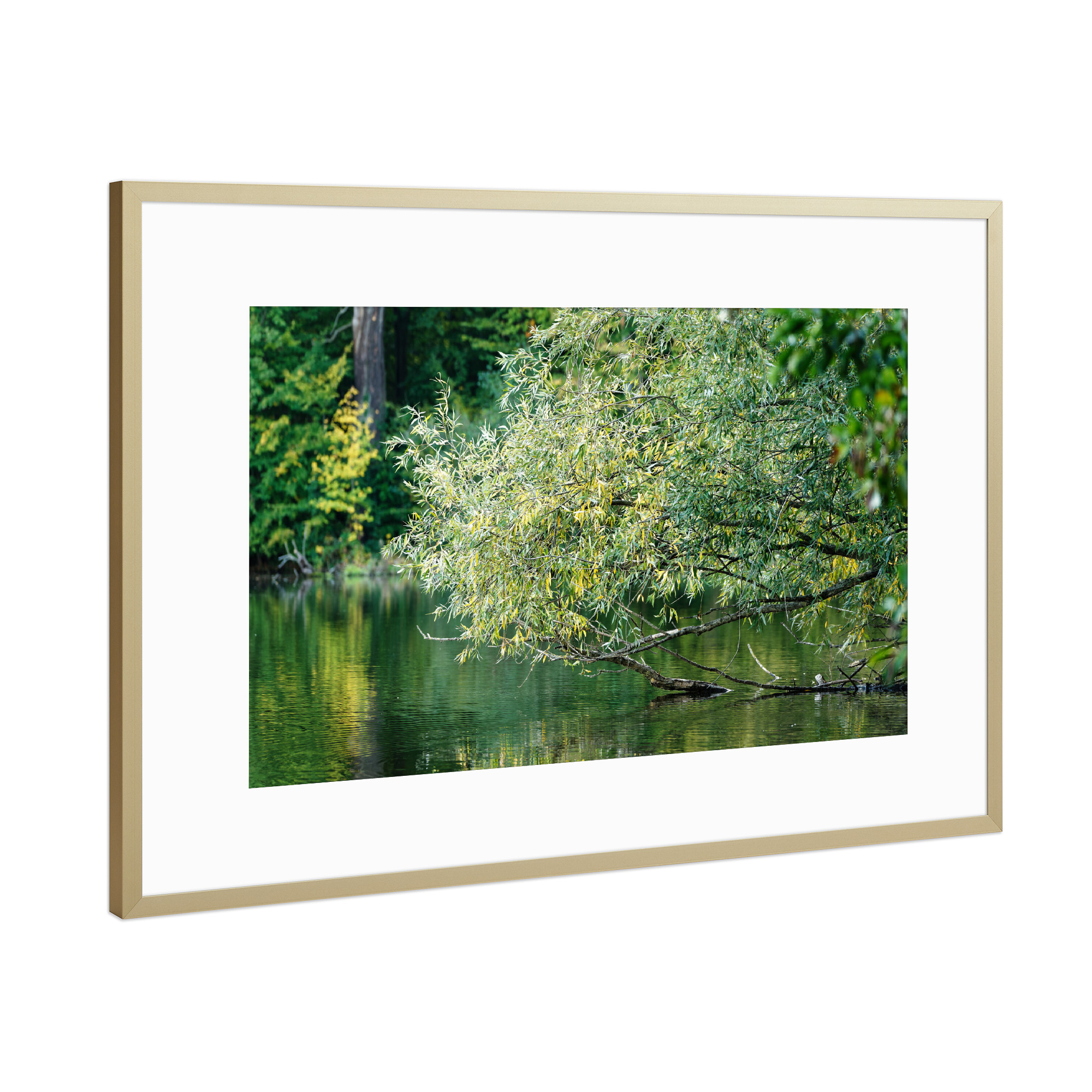 Poster mit Rahmen Gold "Grüntöne" artboxONE - Natur