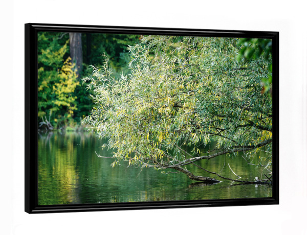 Poster mit schwarzem Rahmen "Grüntöne" artboxONE - Natur