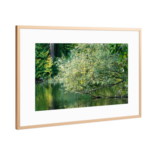 Poster mit Rahmen Kupfer "Grüntöne" artboxONE - Natur