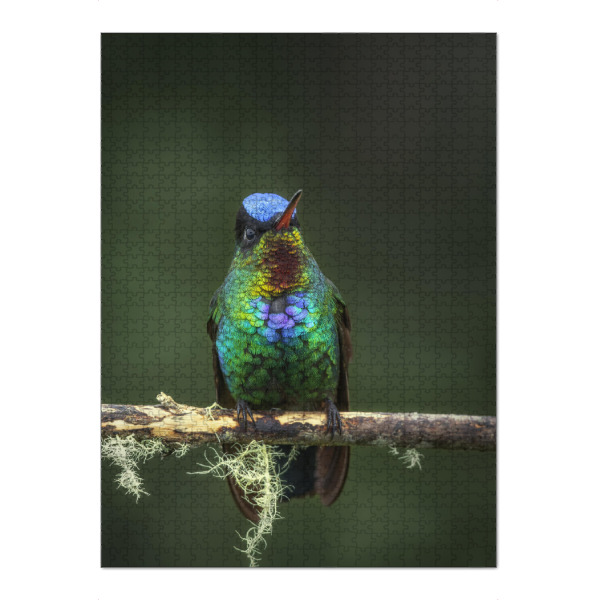 Puzzle Ravensburger "Das Kolibriportrait" artboxONE - Natur,Tiere - Kolibri,Bunt,Farbenfroh,Costa rica,Regenwald,Urwald,Tropen,Tropisch,Vogel,Portrait