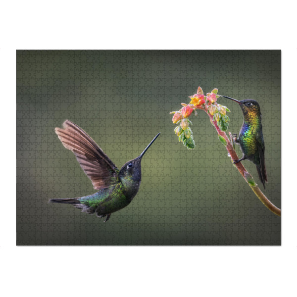 Puzzle Ravensburger "Nektarsuche" artboxONE - Natur,Tiere - Kolibri,Blüte,Blume,Pflanze,Tropen,Regenwald,Urwald,Costa rica,Natur,Vögel