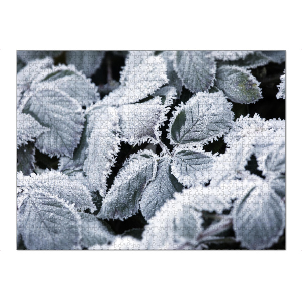Puzzle Ravensburger "Weiße Winter Botanik" artboxONE - Natur,Floral,Schwarzweiß