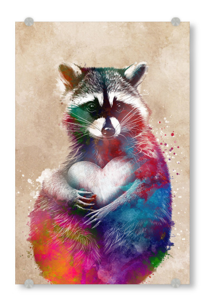 Acrylglasbild "Waschbärherz" artboxONE - Tiere - Waschbärherz,Herz,Waschbär,Wildes tier,Tiere,Grafik,Illustration,Design,Kunst