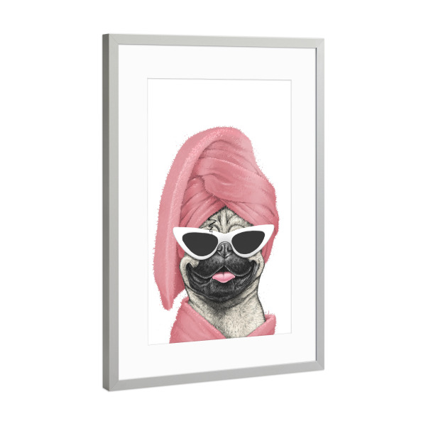 Poster mit Rahmen Silber "Mops nach dem Bad" artboxONE - Tiere,Fashion,Für Mama