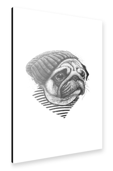 Alu-Dibond "Mops Seemann" 30x20 cm artboxONE