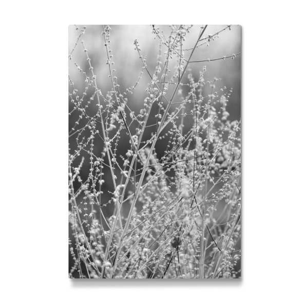 Galerie-Print "Gräser minimalistische Natur" 30x20 cm artboxONE