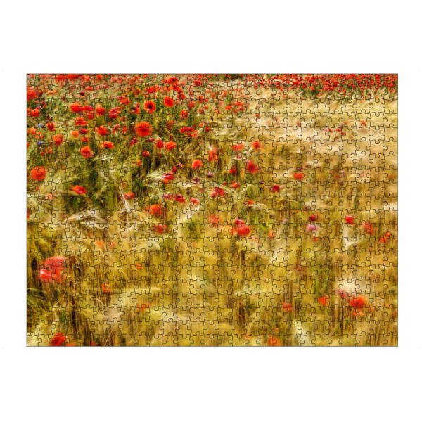 Puzzle Ravensburger "Sommerwind im Gerstenfeld" artboxONE - Natur