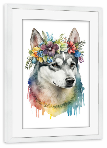 Poster mit Rahmen weiß "Husky mit Blumen" artboxONE - Floral,Tiere