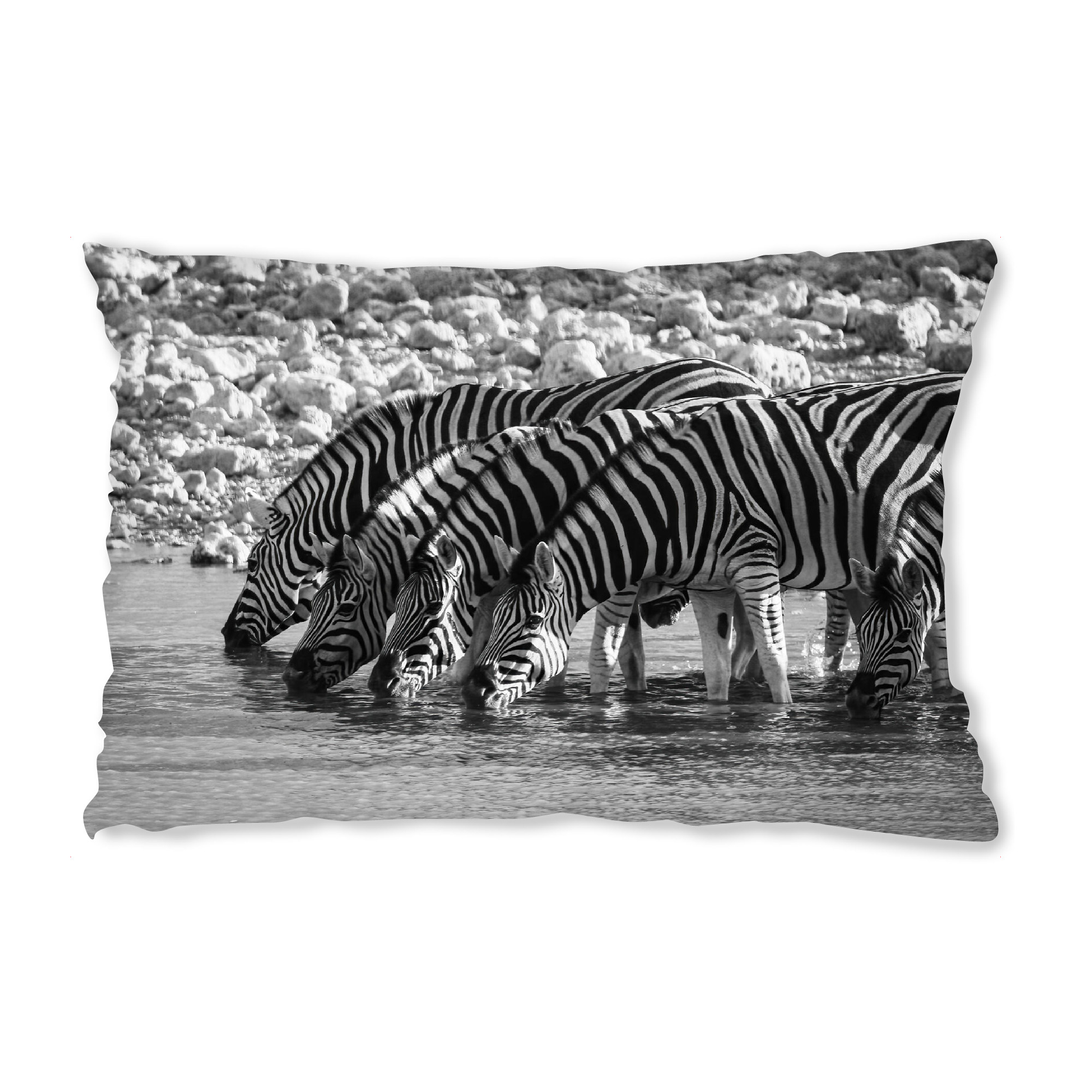Design-Kissen "Zebras in Schwarz Weiss" artboxONE - Tiere,Reise / Afrika - Zebra,Afrika,Namibia,Wildlife,Wildtiere,Savanne,Safari,Südafrika