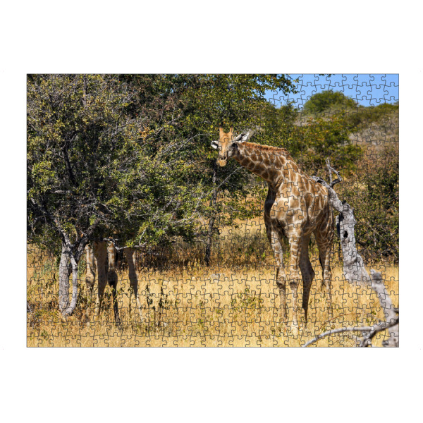 Puzzle Ravensburger "Giraffen" artboxONE - Natur,Tiere,Reise / Afrika