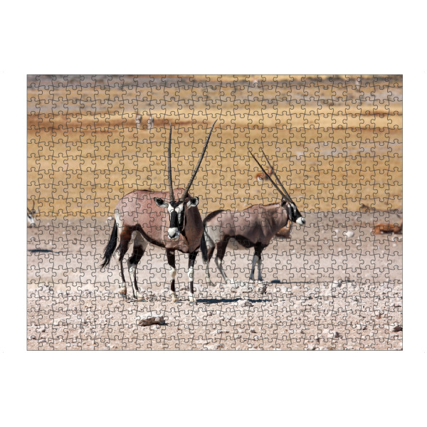 artboxONE Puzzle "Oryx in Namibia" artboxONE - Tiere,Reise / Afrika