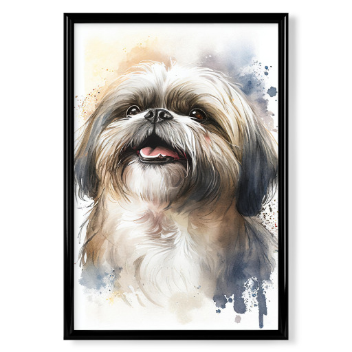 Shih Tzu