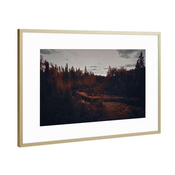 Poster mit Rahmen Gold "Gloomy Nature" artboxONE - Natur,Reise - Landscape,Dark,Gloomy,Nature,Art,Photography,Canada,Trip,Atmosphere,Orange