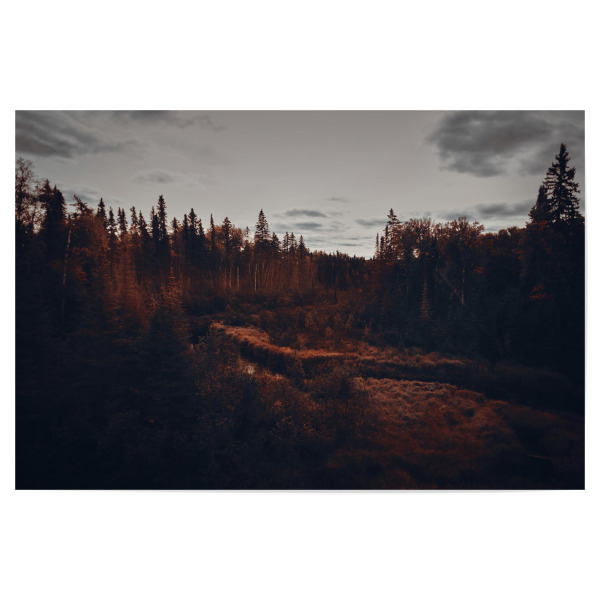 Poster "Gloomy Nature" artboxONE - Natur,Reise - Landscape,Dark,Gloomy,Nature,Art,Photography,Canada,Trip,Atmosphere,Orange