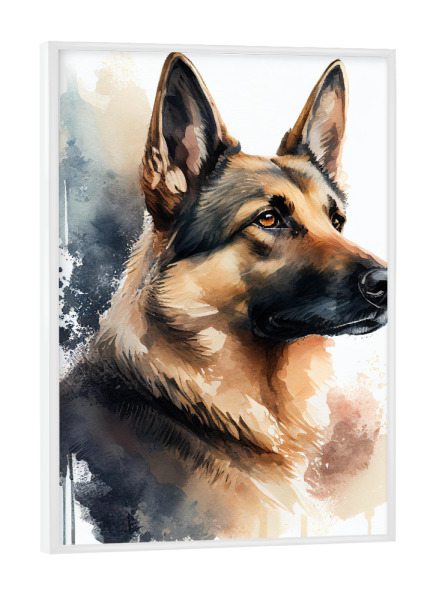 Poster mit weißem Rahmen "Deutscher-Schäferhund" artboxONE - Tiere