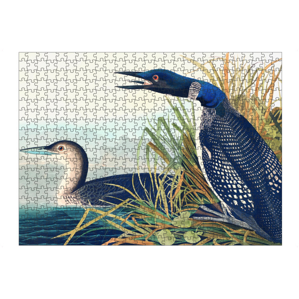 Puzzle Ravensburger "Großer nördlicher Tauchgang" artboxONE - Natur,Für Kinder,Tiere,Für Mama,Für Papa
