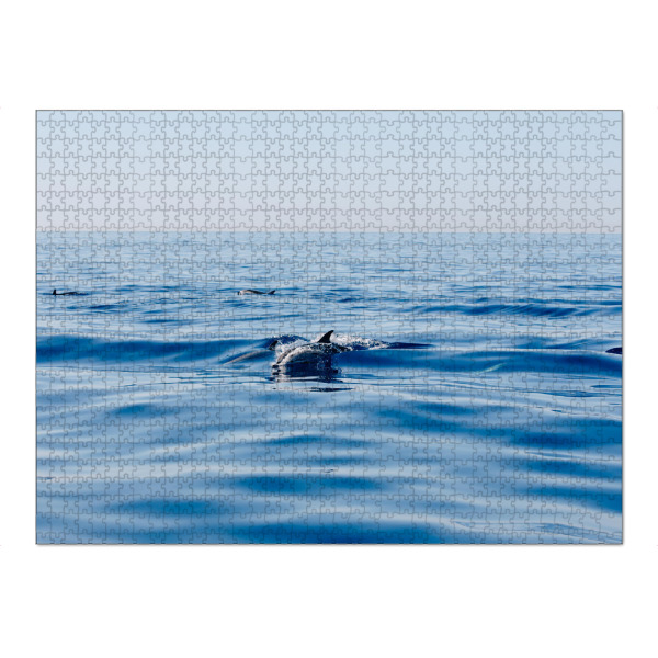 Puzzle Ravensburger "Delfine im Mittelmeer" artboxONE - Natur,Tiere - Delfin,Delfine,Mittelmeer,Meer,Schwimmen,Nizza,Frankreich,Wellen,Tiere,Natur