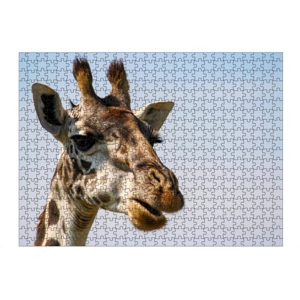 Puzzle Ravensburger "Giraffen Porträt" artboxONE - Tiere,Reise / Afrika