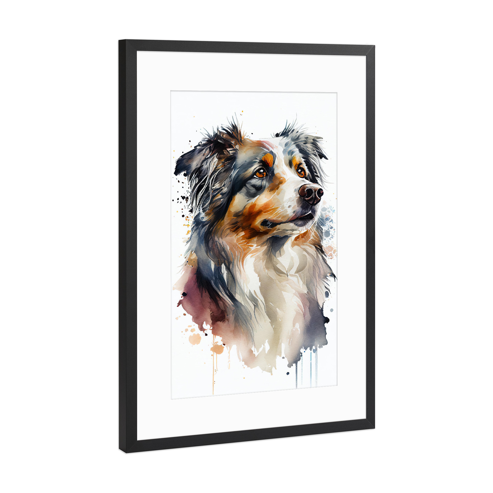 Poster mit Rahmen Schwarz (Metallic) "Australian Shepherd Aquarell" artboxONE - Tiere