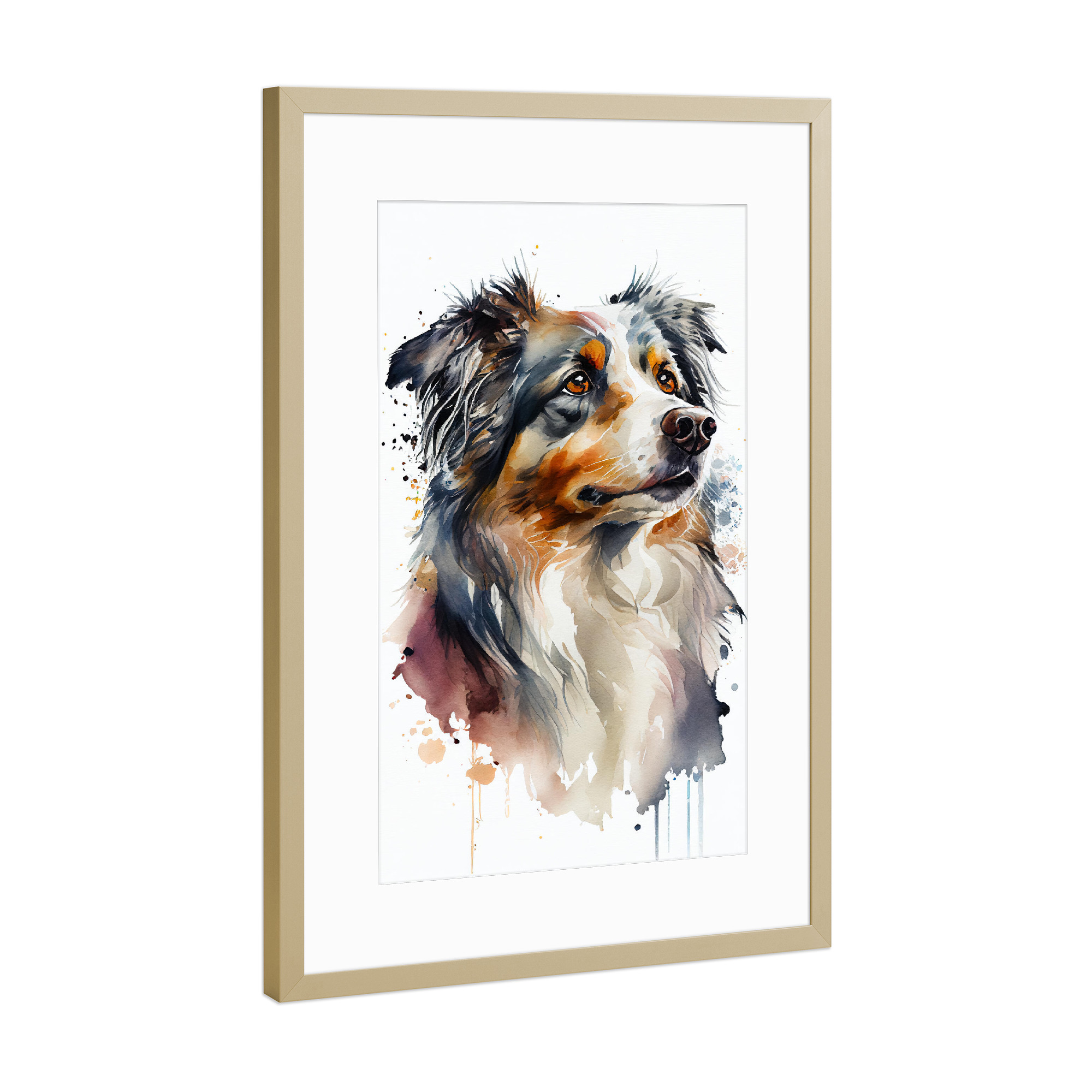 Poster mit Rahmen Gold "Australian Shepherd Aquarell" artboxONE - Tiere