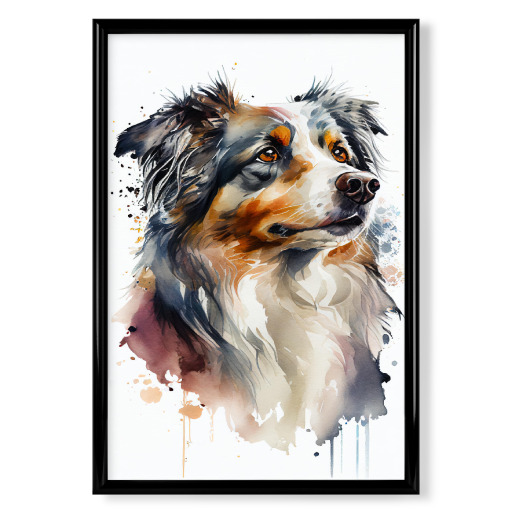 Australian Shepherd Aquarell