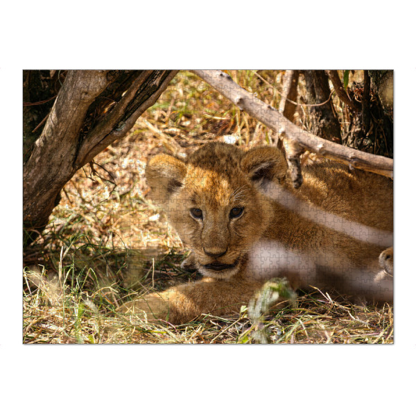 Puzzle Ravensburger "Baby Löwe" artboxONE - Tiere,Reise / Afrika - Löwe,Afrika,Löwen,Safari,Raubkatze,Raubtier,Savanne,Masai mara,Serengeti