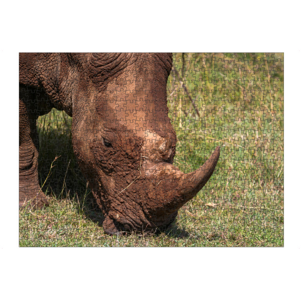 artboxONE Puzzle "Wildes Nashorn in Kenia" artboxONE - Tiere,Reise / Afrika