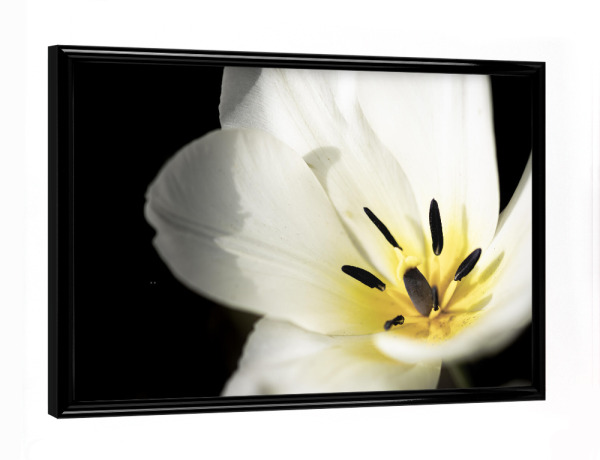 Poster mit schwarzem Rahmen "Wide Open" artboxONE - Natur,Floral,Für Mama