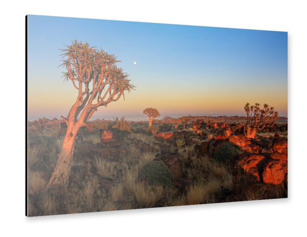 Alu-Dibond "Sonnenaufgang in Namibia" 30x20 cm artboxONE