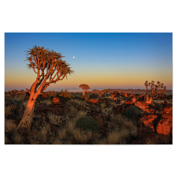 Poster "Sonnenaufgang in Namibia" artboxONE - Natur,Reise / Afrika