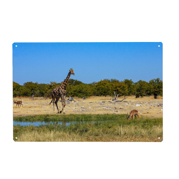 Holzbild "Giraffes in Namibia" artboxONE - Tiere,Reise / Afrika