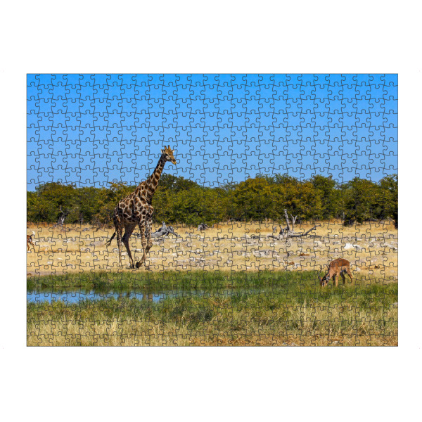 Puzzle Ravensburger "Giraffes in Namibia" artboxONE - Tiere,Reise / Afrika