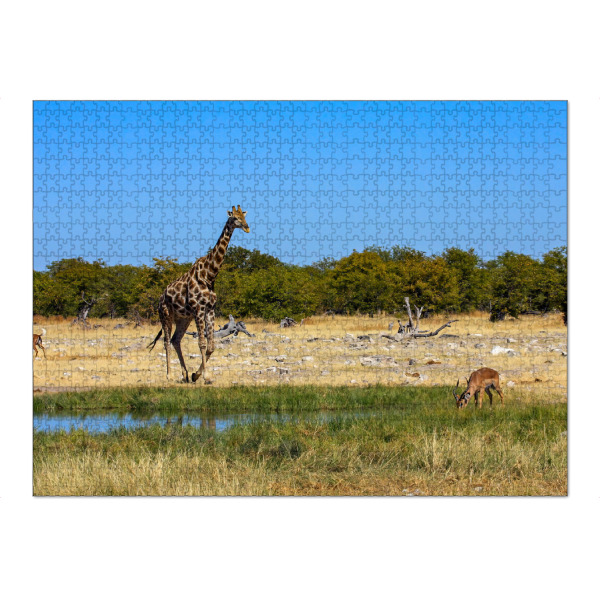 Puzzle Ravensburger "Giraffes in Namibia" artboxONE - Tiere,Reise / Afrika