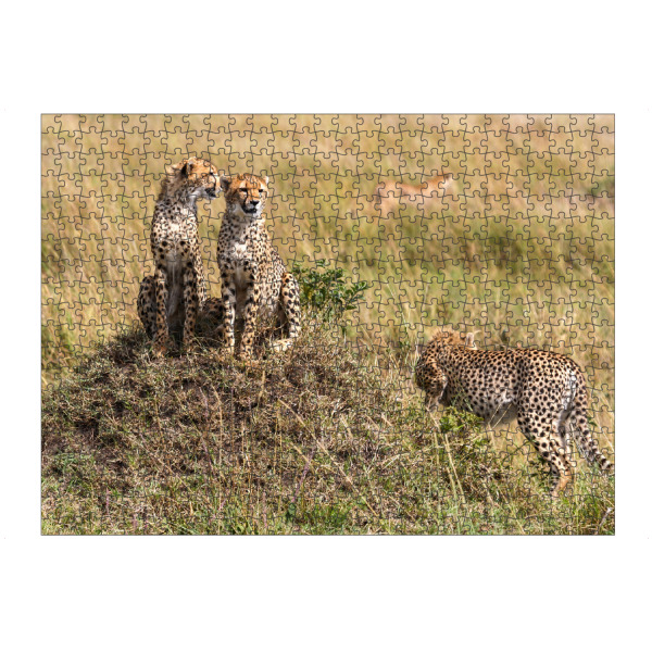 artboxONE Puzzle "Wilde Geparden in Afrika" artboxONE - Tiere,Reise / Afrika