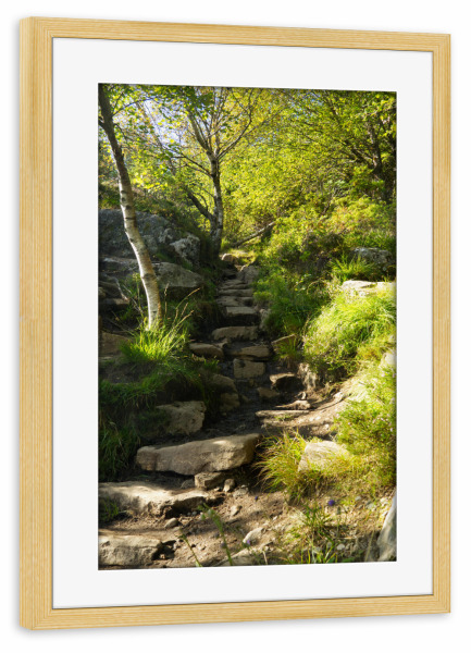 Poster mit Rahmen kiefer "Felsiger Wanderweg bei Alesund" artboxONE - Natur,Reise,Reise / Länder