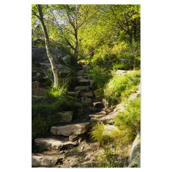 Poster 30x20 cm "Felsiger Wanderweg bei Alesund" artboxONE - Natur,Reise,Reise / Länder