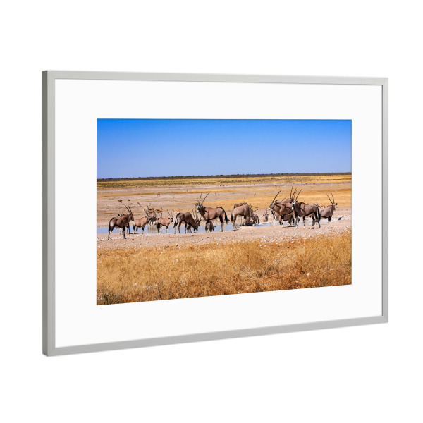 Poster mit Rahmen Silber "Oryx am Wasserloch" artboxONE - Tiere,Reise / Afrika