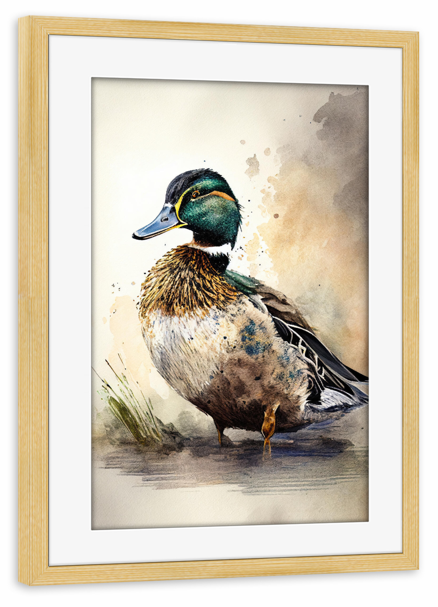 Poster mit Rahmen kiefer "Stockente Malerei" artboxONE - Tiere - Kunst,Schöne,Vogel,Leinwand,Zeichnung,Ente,Stockente,Natur,Farbe,Malerei,Aquarell