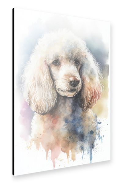 Alu-Dibond "Aquarell Pudelporträt" 30x20 cm artboxONE