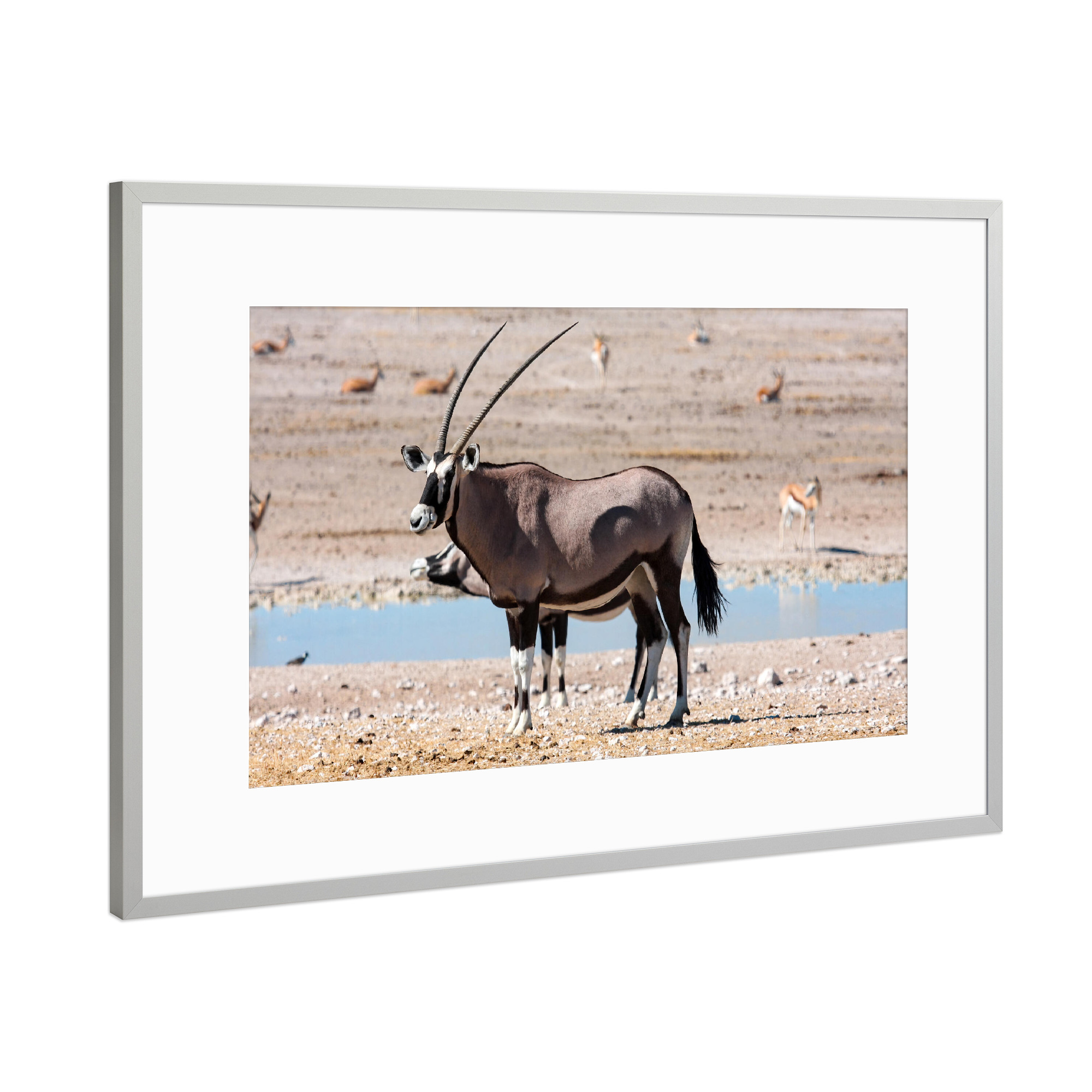Poster mit Rahmen Silber "Oryx Antilopen in Namibia" artboxONE - Tiere,Reise / Afrika