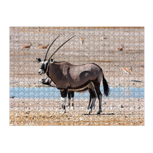 Puzzle Ravensburger "Oryx Antilopen in Namibia" artboxONE - Tiere,Reise / Afrika