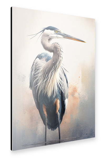 Alu-Dibond "Großes Blau-Reiher-Aquarell" 30x20 cm artboxONE