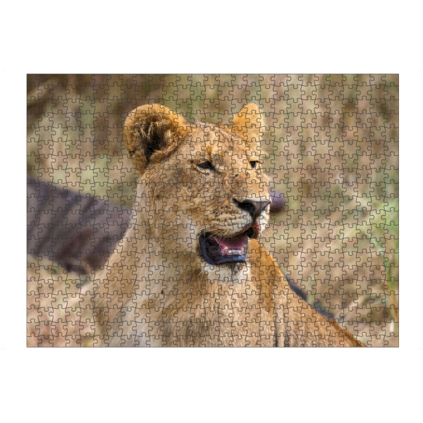 Puzzle Ravensburger "Löwe in der Masai Mara" artboxONE - Tiere,Reise / Afrika