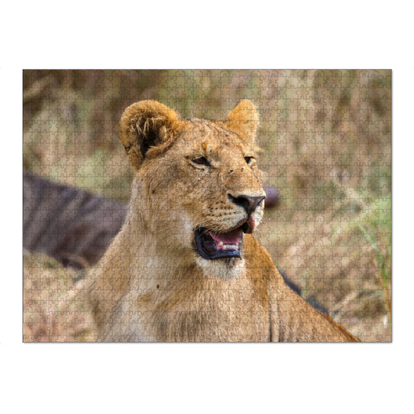 Puzzle Ravensburger "Löwe in der Masai Mara" artboxONE - Tiere,Reise / Afrika